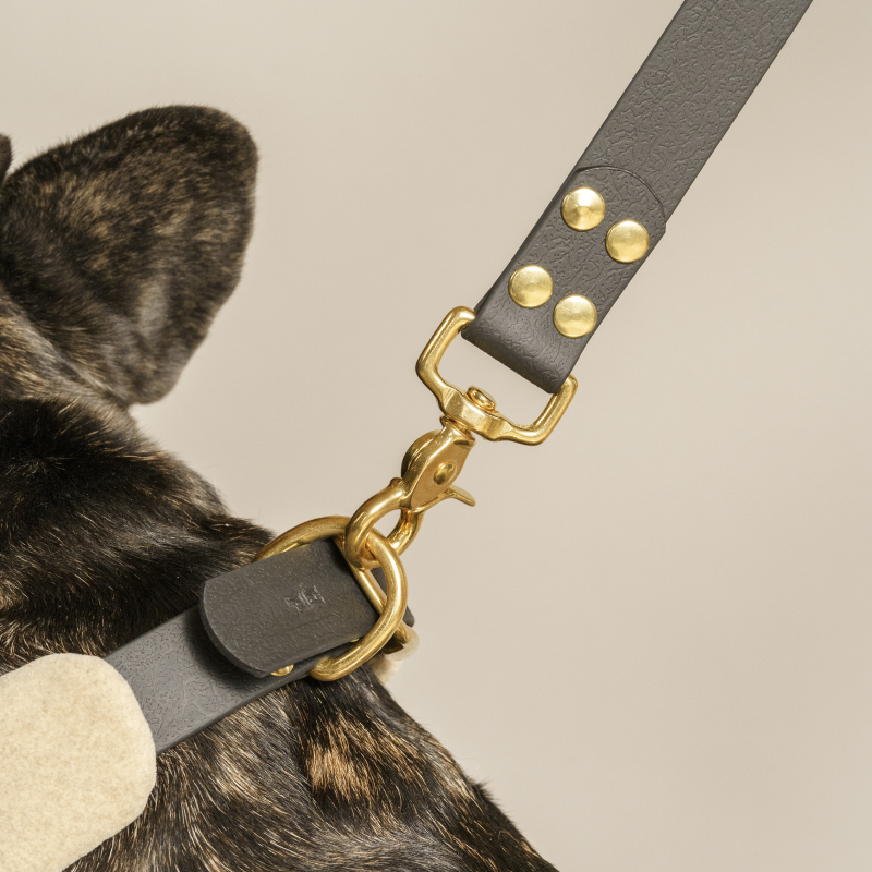 Pony-Mascarpony Biothane leash with cases