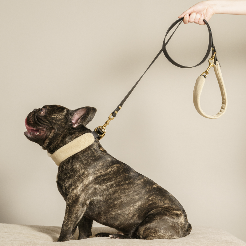 Pony-Mascarpony Biothane leash with cases