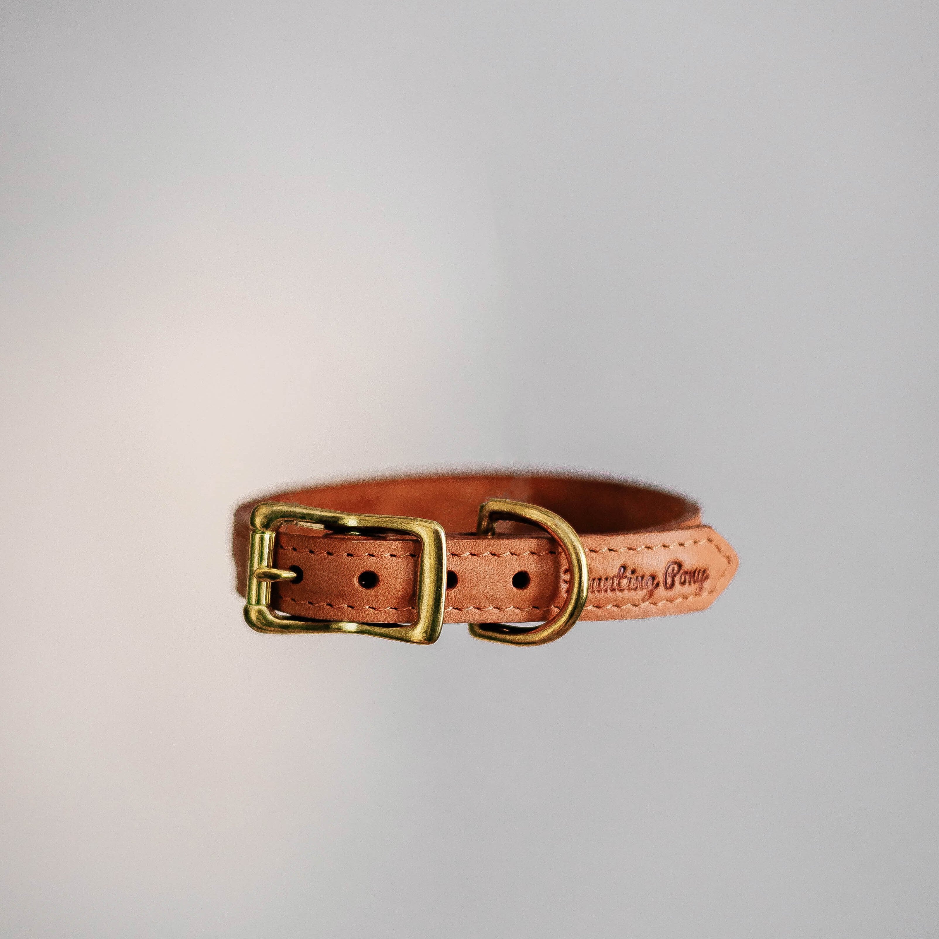 Classic straight pony-collar ginger