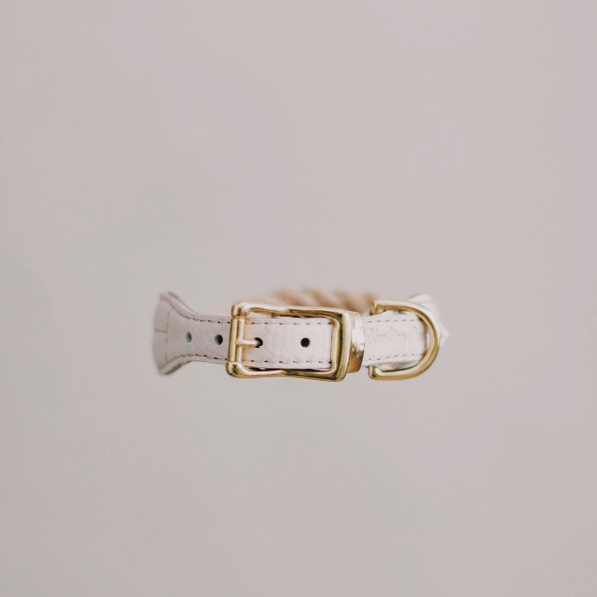 Dog collar country Pony beige