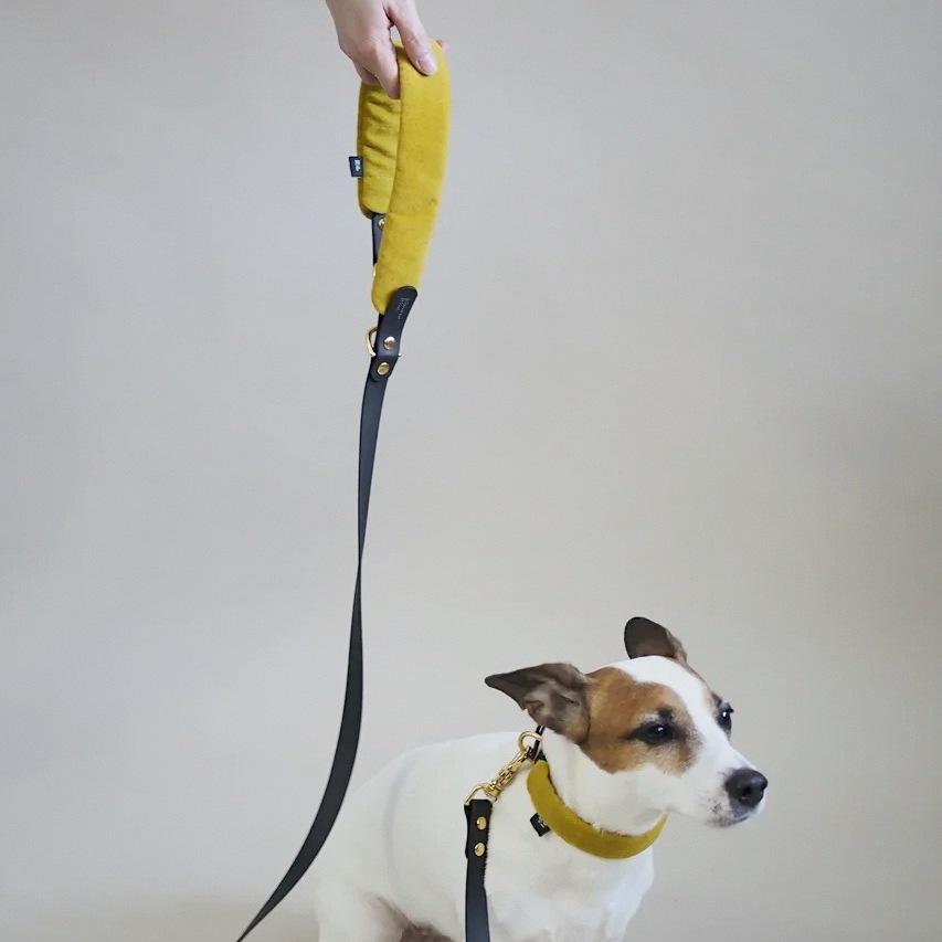 Pony-Mascarpony Biothane collar with case