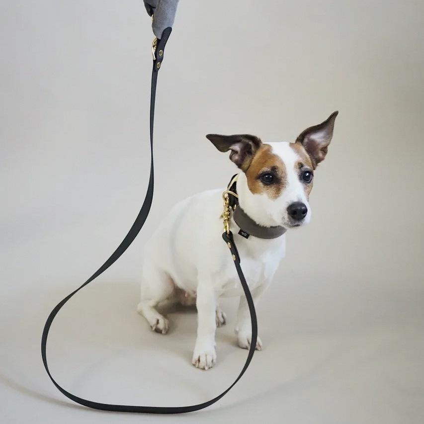 Pony-Mascarpony Biothane collar with case