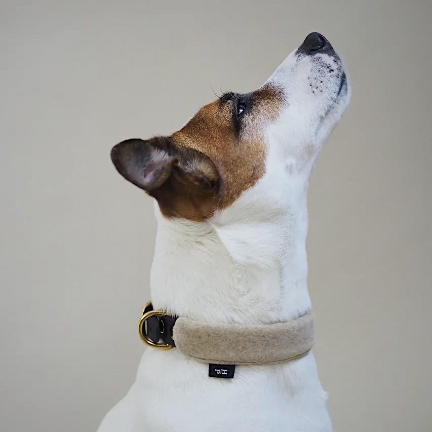 Pony-Mascarpony Biothane collar with case