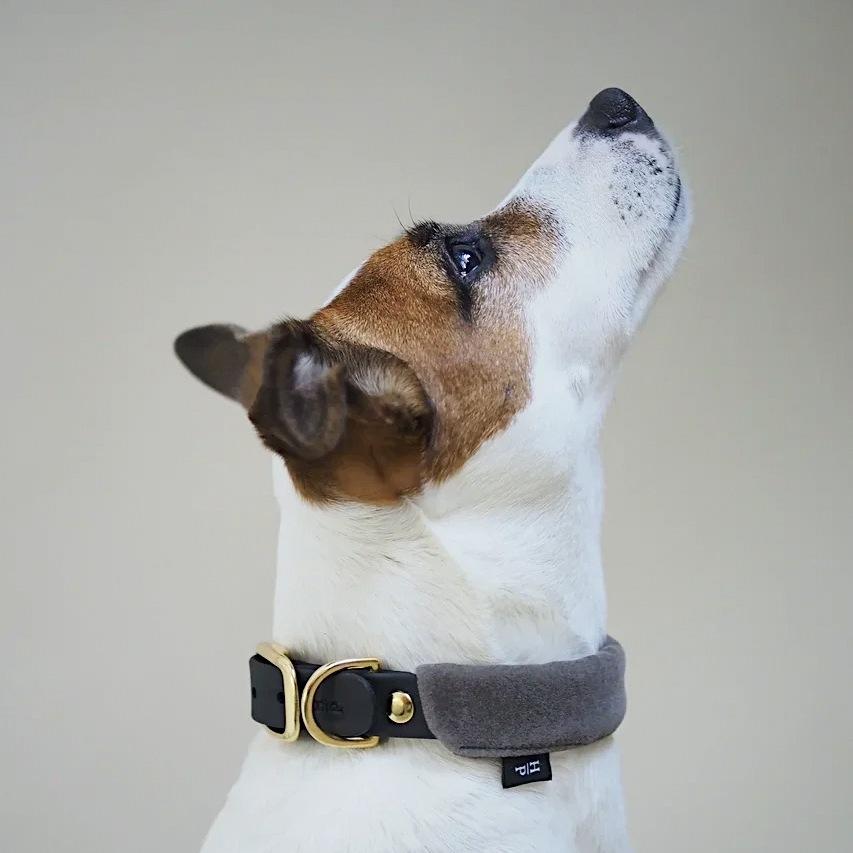 Pony-Mascarpony Biothane collar with case