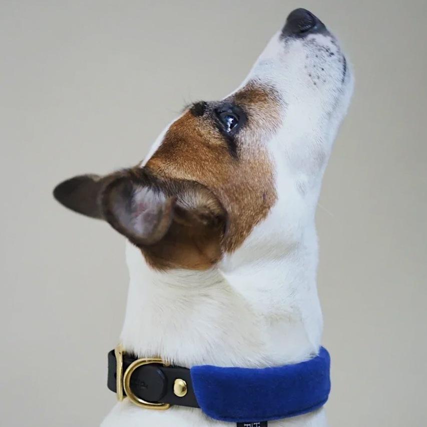 Pony-Mascarpony Biothane collar with case