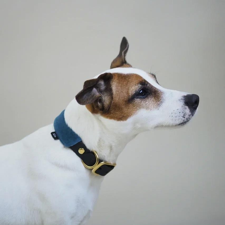 Pony-Mascarpony Biothane collar with case