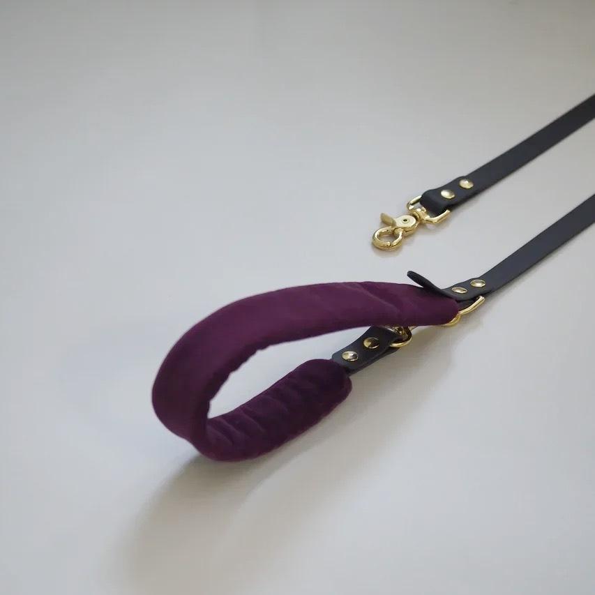 Pony-Mascarpony Biothane leash with cases