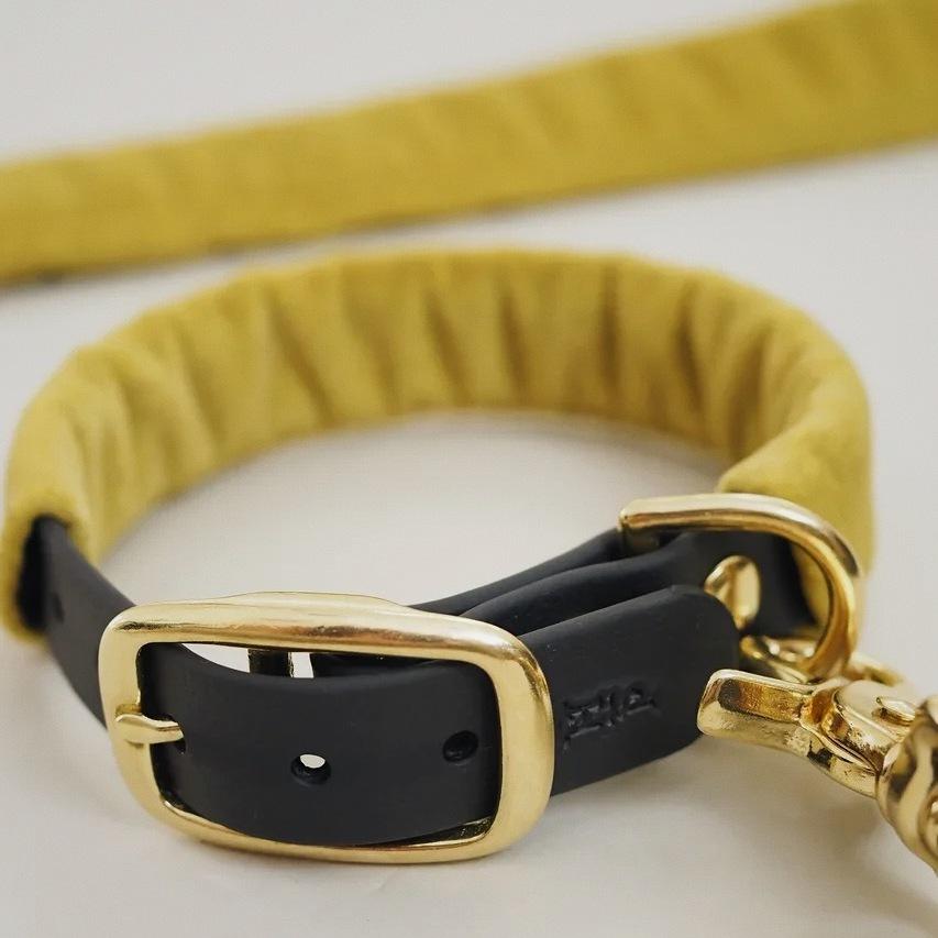 Pony-Mascarpony Biothane collar with case
