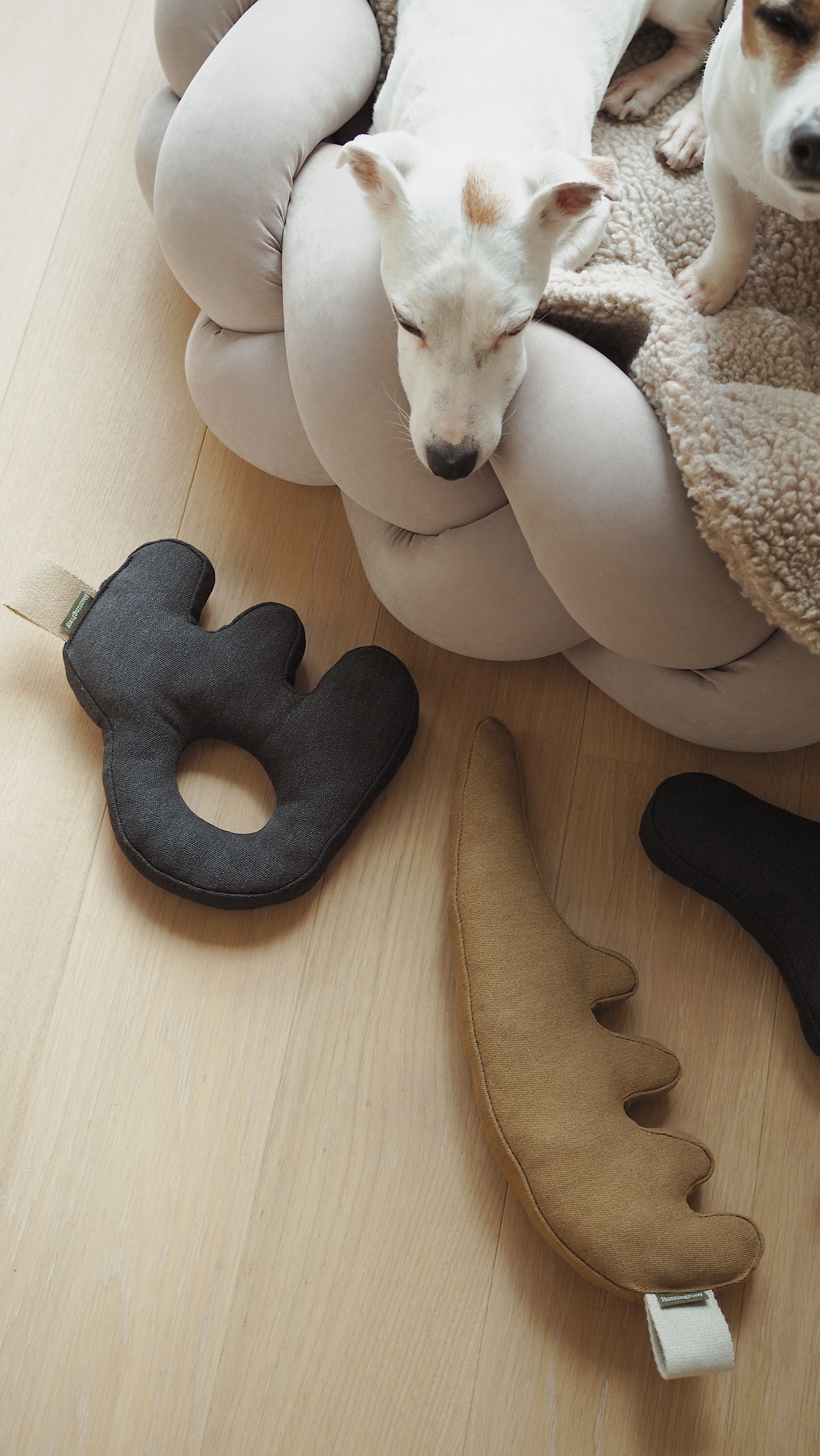 Dog Toys
