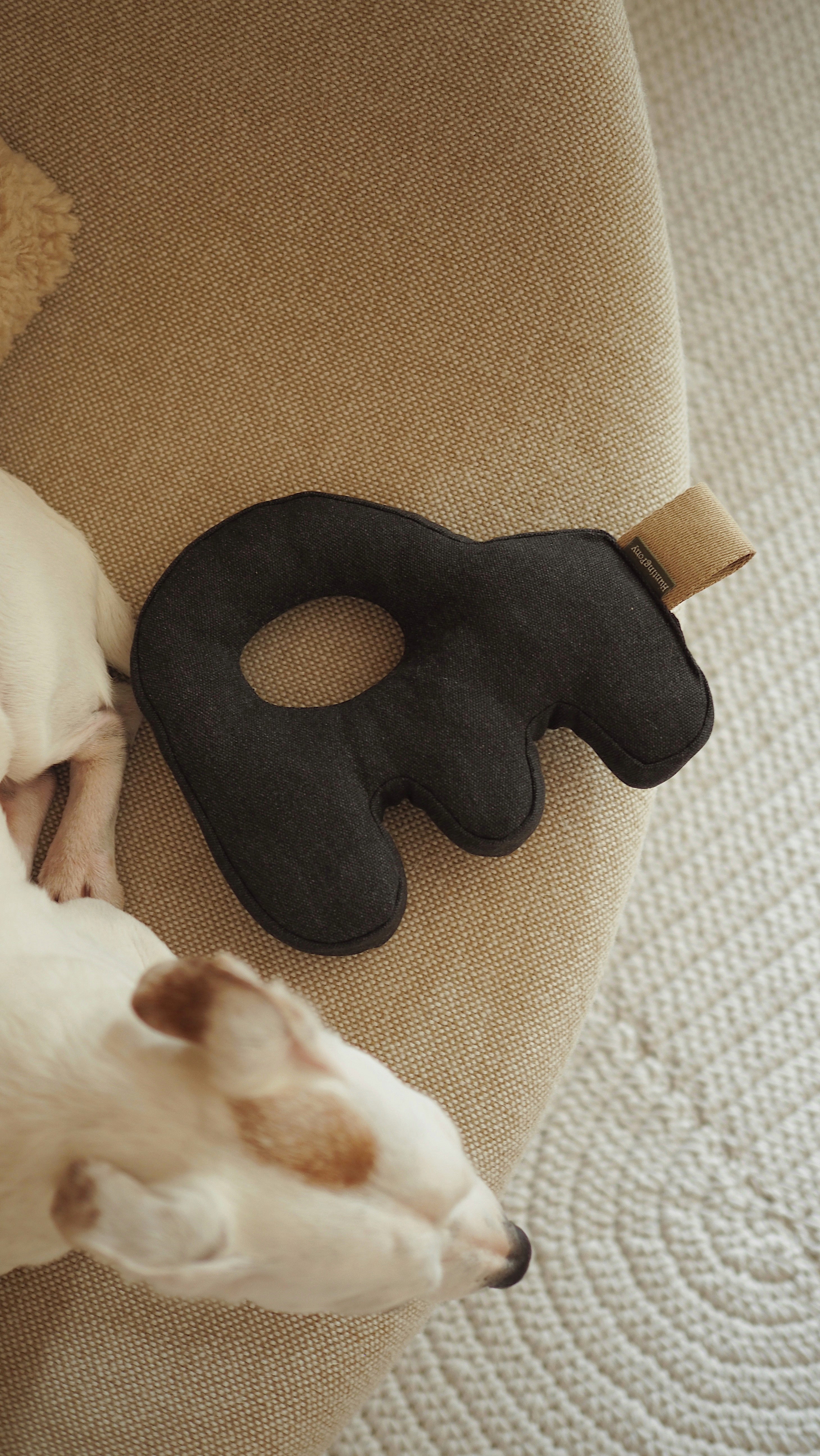Dog Toys