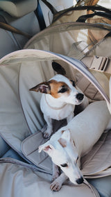 Car transportation house Pony-Autohousony beige