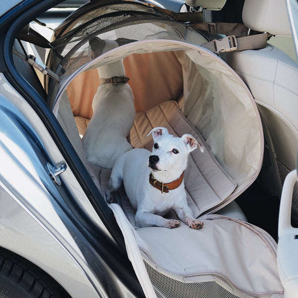 Car transportation house Pony-Autohousony beige