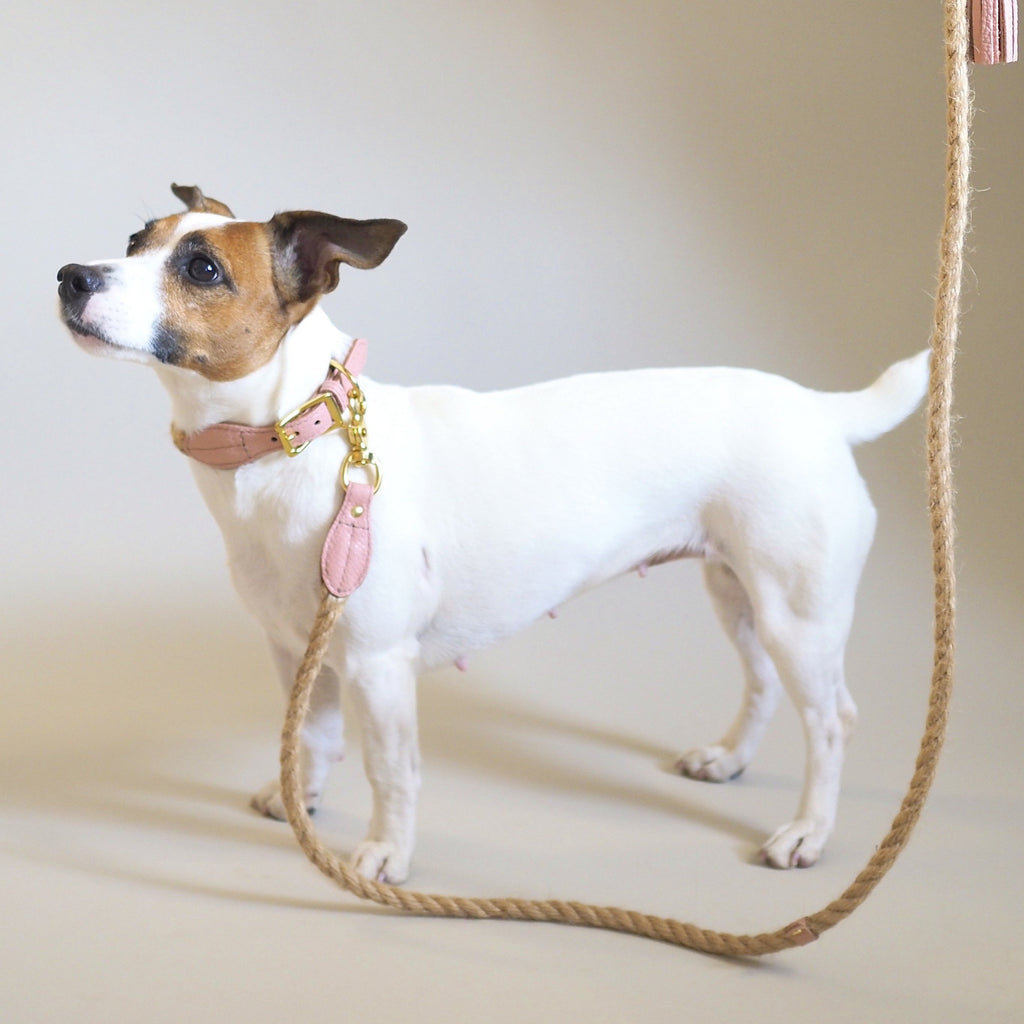 Dog collar country Pony pink